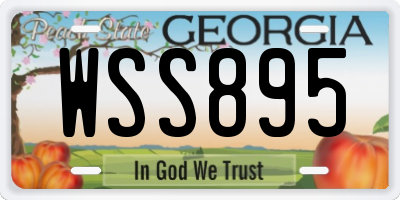 GA license plate WSS895