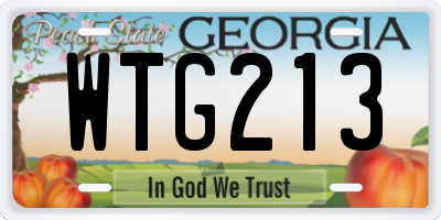 GA license plate WTG213