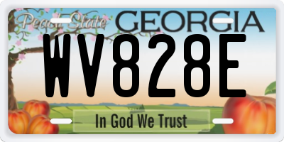 GA license plate WV828E