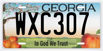 GA license plate WXC307