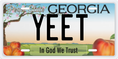 GA license plate YEET