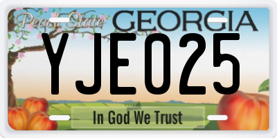 GA license plate YJE025