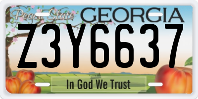 GA license plate Z3Y6637