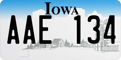 IA license plate AAE134