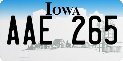 IA license plate AAE265