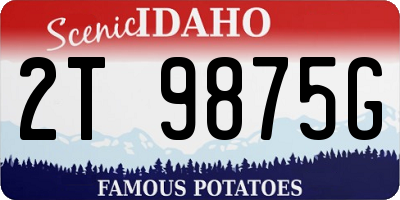 ID license plate 2T9875G