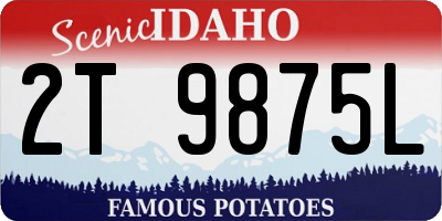 ID license plate 2T9875L