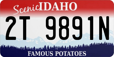 ID license plate 2T9891N