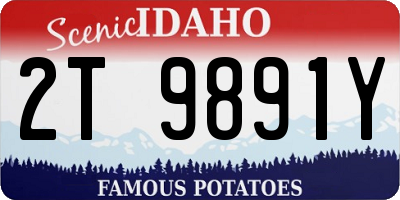 ID license plate 2T9891Y