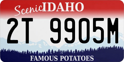 ID license plate 2T9905M