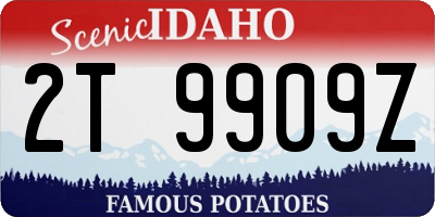 ID license plate 2T9909Z