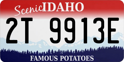 ID license plate 2T9913E