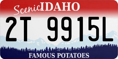 ID license plate 2T9915L