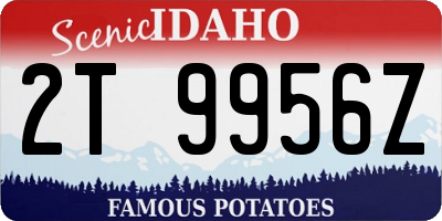ID license plate 2T9956Z