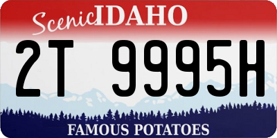 ID license plate 2T9995H