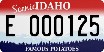 ID license plate E000125