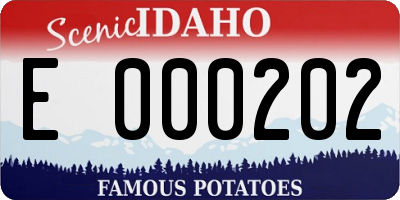 ID license plate E000202