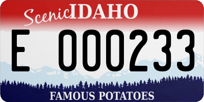 ID license plate E000233