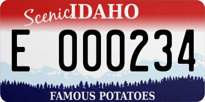 ID license plate E000234