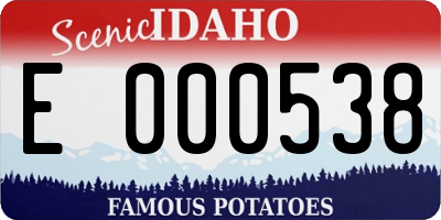 ID license plate E000538