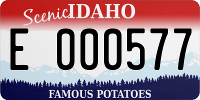 ID license plate E000577
