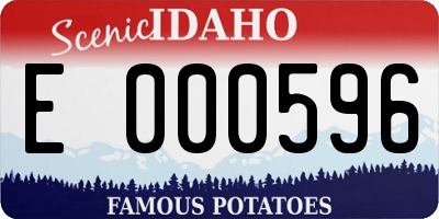 ID license plate E000596