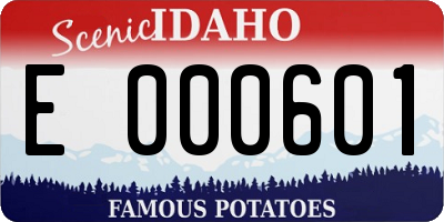 ID license plate E000601