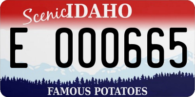 ID license plate E000665