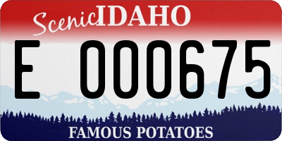 ID license plate E000675
