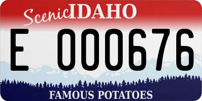 ID license plate E000676