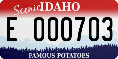 ID license plate E000703
