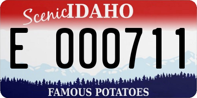 ID license plate E000711