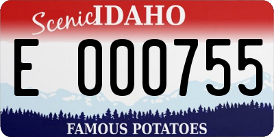 ID license plate E000755