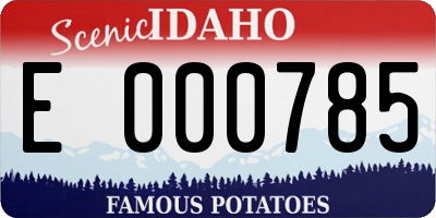 ID license plate E000785