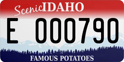 ID license plate E000790