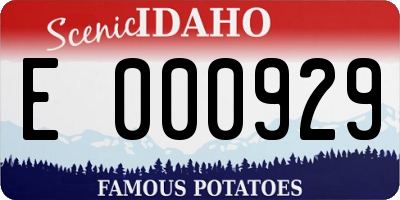 ID license plate E000929