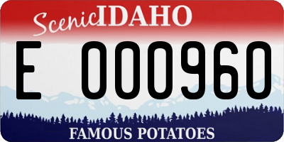 ID license plate E000960