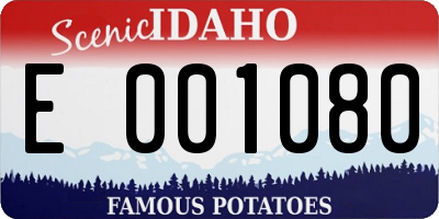ID license plate E001080