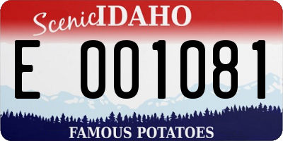 ID license plate E001081