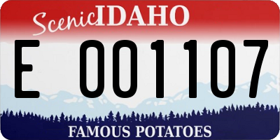 ID license plate E001107