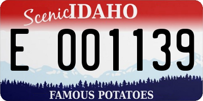 ID license plate E001139