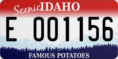 ID license plate E001156