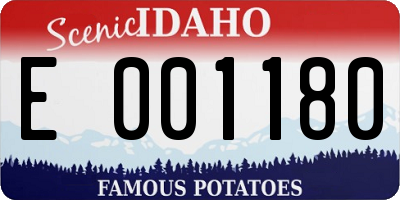 ID license plate E001180