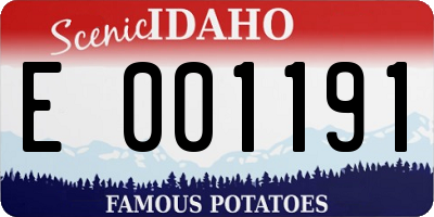 ID license plate E001191