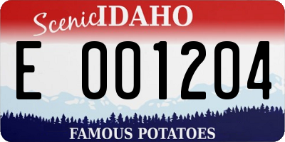 ID license plate E001204