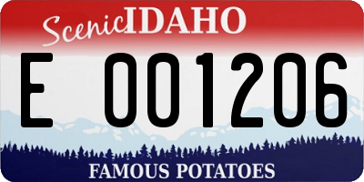 ID license plate E001206