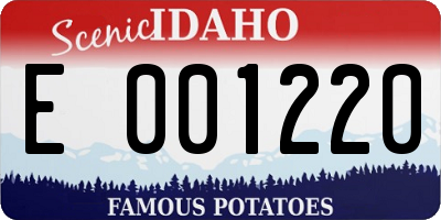 ID license plate E001220