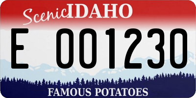 ID license plate E001230