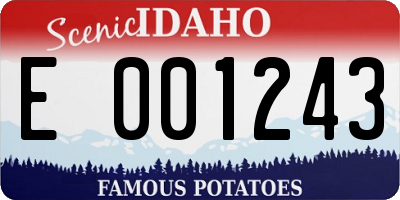 ID license plate E001243