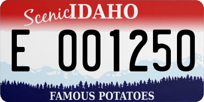 ID license plate E001250